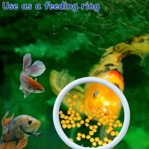 Betta Fish Training Ring 2PCS - Goldfish Show Practice Hoops