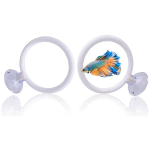 Betta Fish Training Ring 2PCS - Goldfish Show Practice Hoops