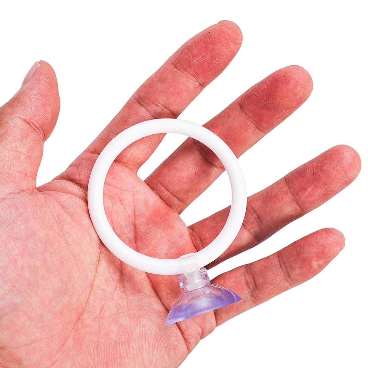 Betta Fish Training Ring 2PCS - Goldfish Show Practice Hoops
