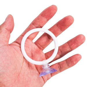 Betta Fish Training Ring 2PCS - Goldfish Show Practice Hoops