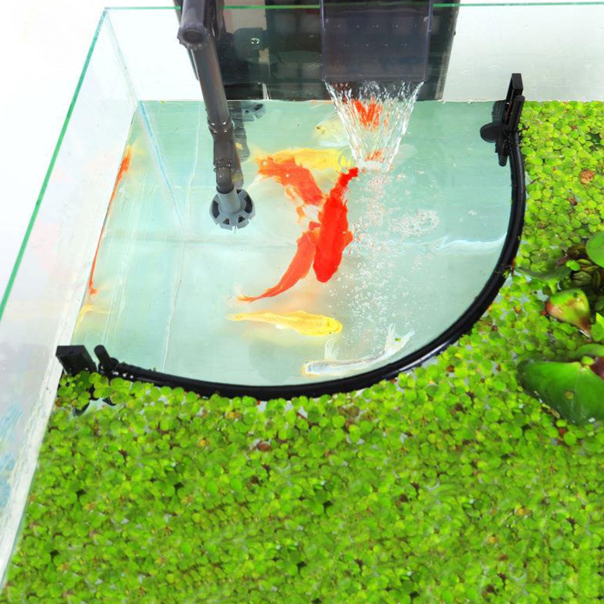 Adjustable Aquarium Floating Plant Corral Duckweed Divider Fence