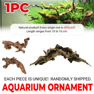 Shrimp Wood Driftwood - Honeycomb Aquascape Wood for Shrimp Tanks