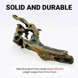 Shrimp Wood Driftwood - Honeycomb Aquascape Wood for Shrimp Tanks