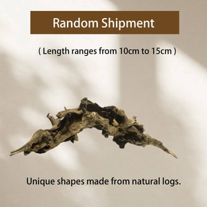 Shrimp Wood Driftwood - Honeycomb Aquascape Wood for Shrimp Tanks