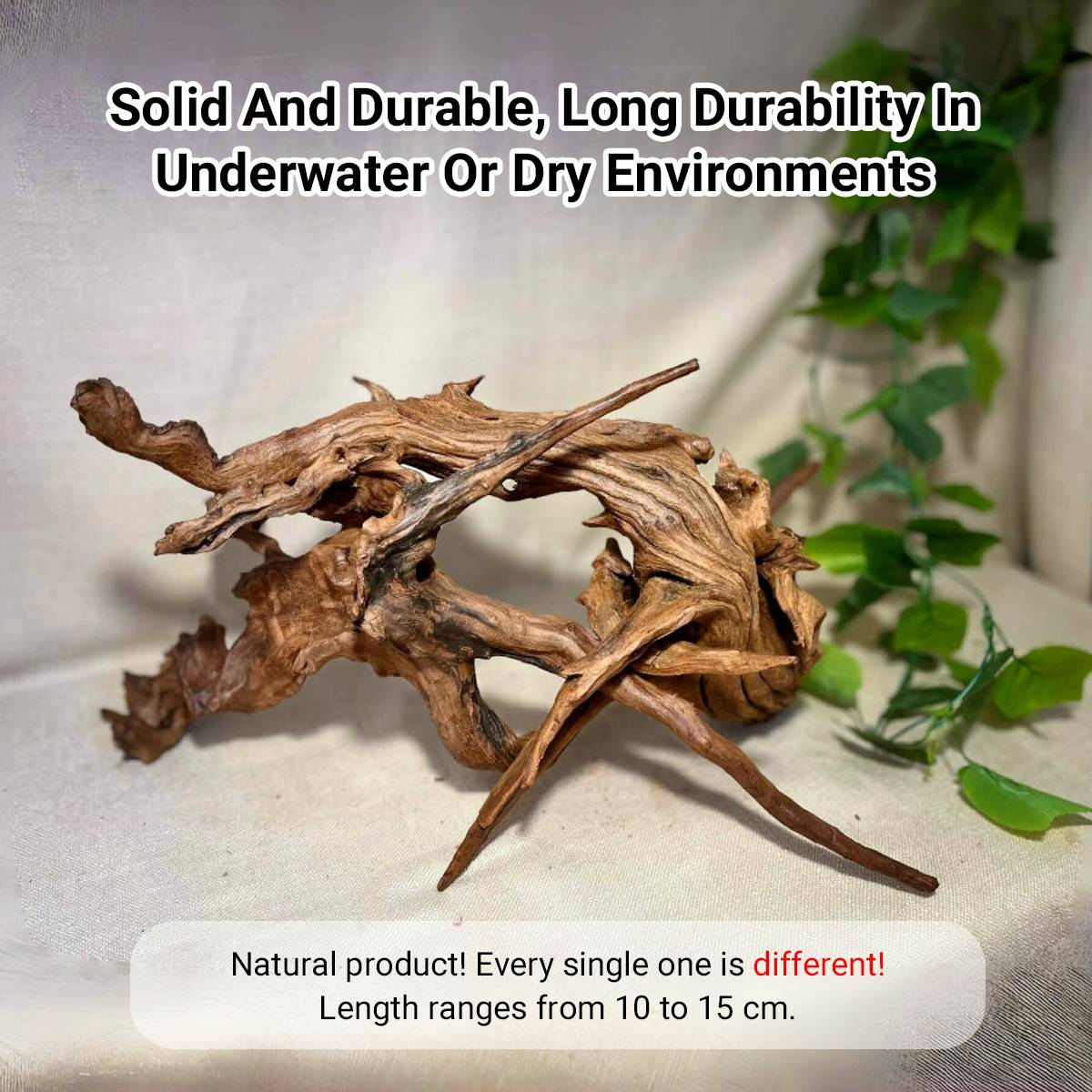 Shrimp Wood Driftwood - Honeycomb Aquascape Wood for Shrimp Tanks