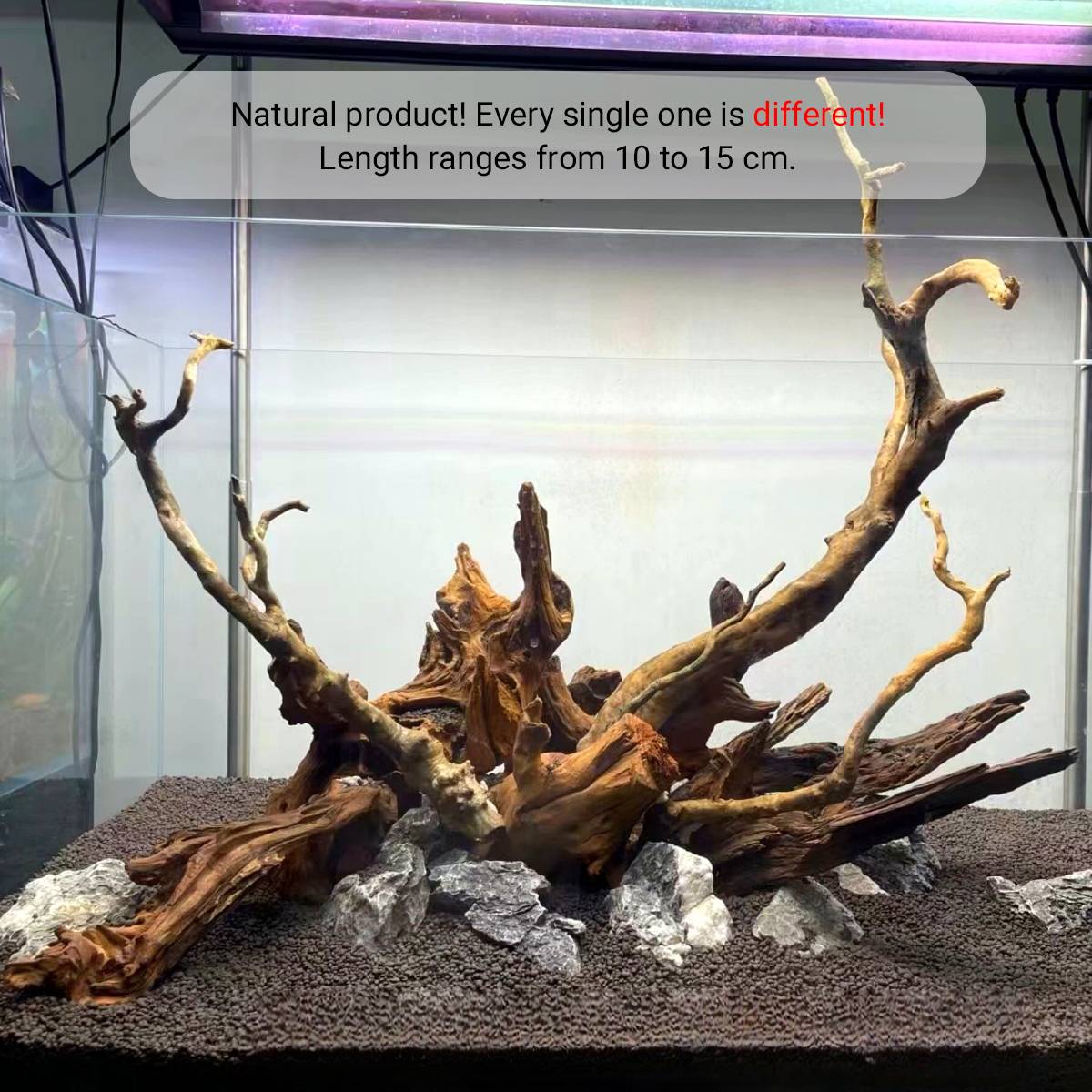 Shrimp Wood Driftwood - Honeycomb Aquascape Wood for Shrimp Tanks