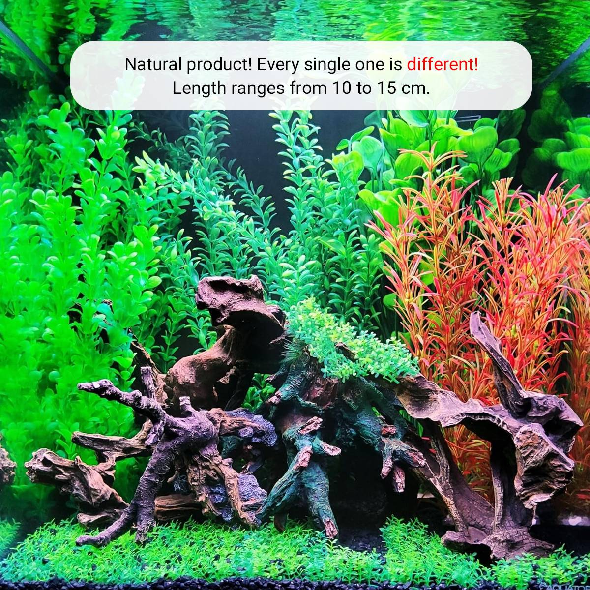 Shrimp Wood Driftwood - Honeycomb Aquascape Wood for Shrimp Tanks
