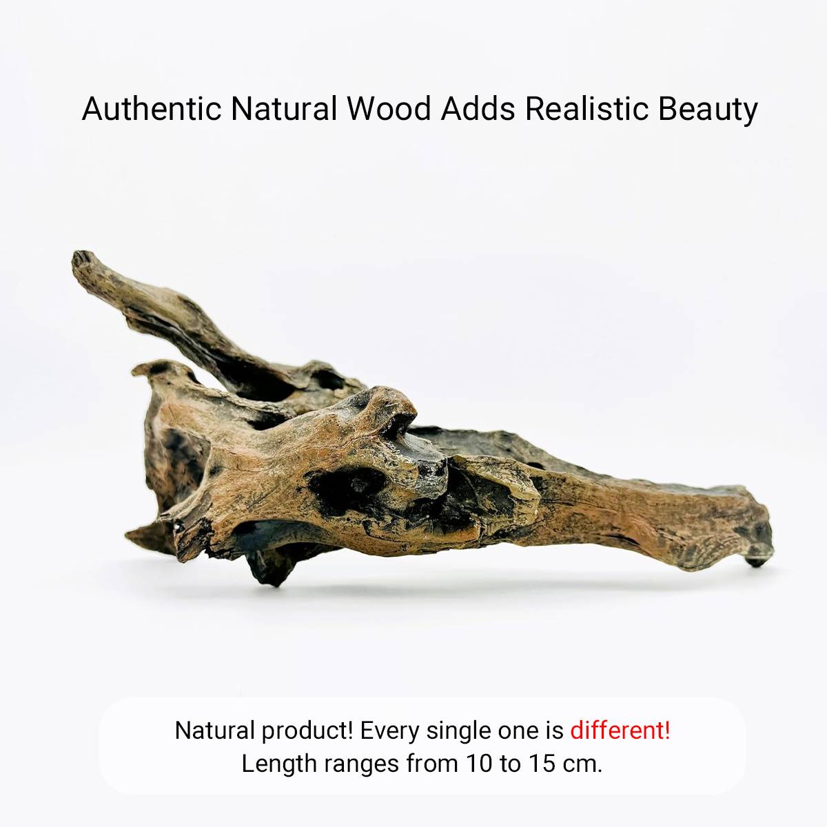 Shrimp Wood Driftwood - Honeycomb Aquascape Wood for Shrimp Tanks