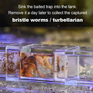 Aquarium Planaria Catcher