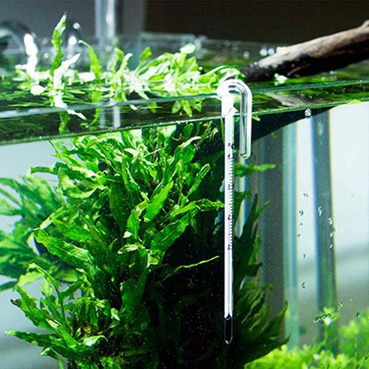 Fish Tank Thermometer - Stick-On LCD Aquarium Temperature Strip