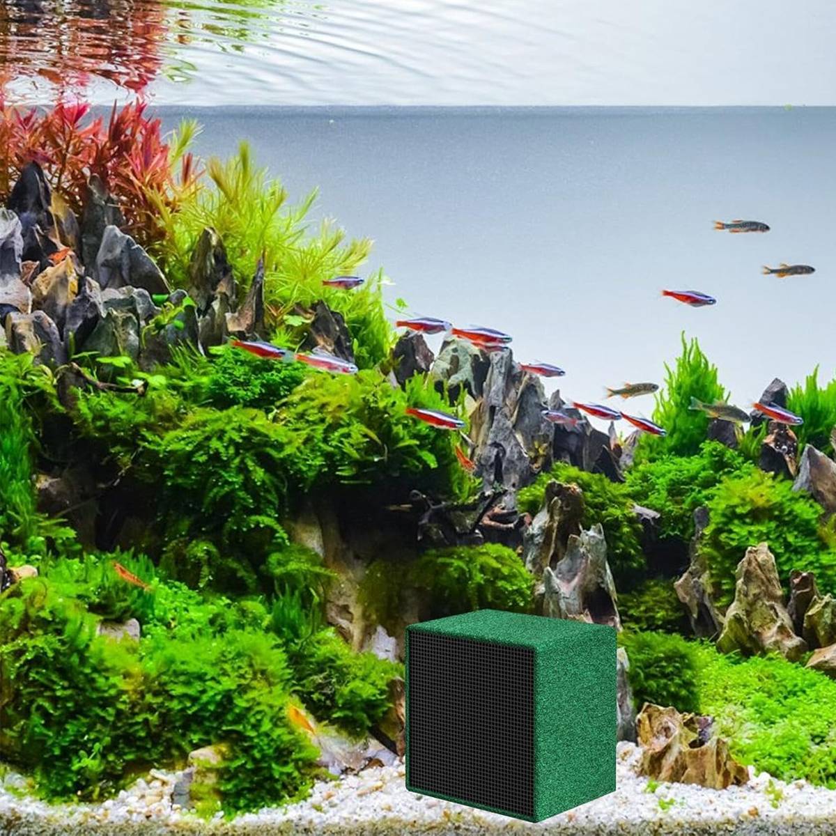 Activated Carbon Aquarium Media - Yee Water Purification (M/L)