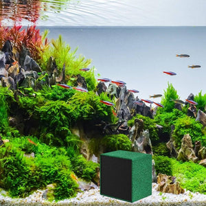 Activated Carbon Aquarium Media - Yee Water Purification (M/L)