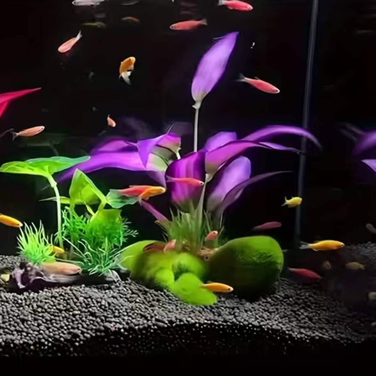 Artificial Aquatic Plants for Fish Tank | Realistic Aquarium Decoration