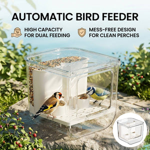 Automatic Bird Feeder Box
