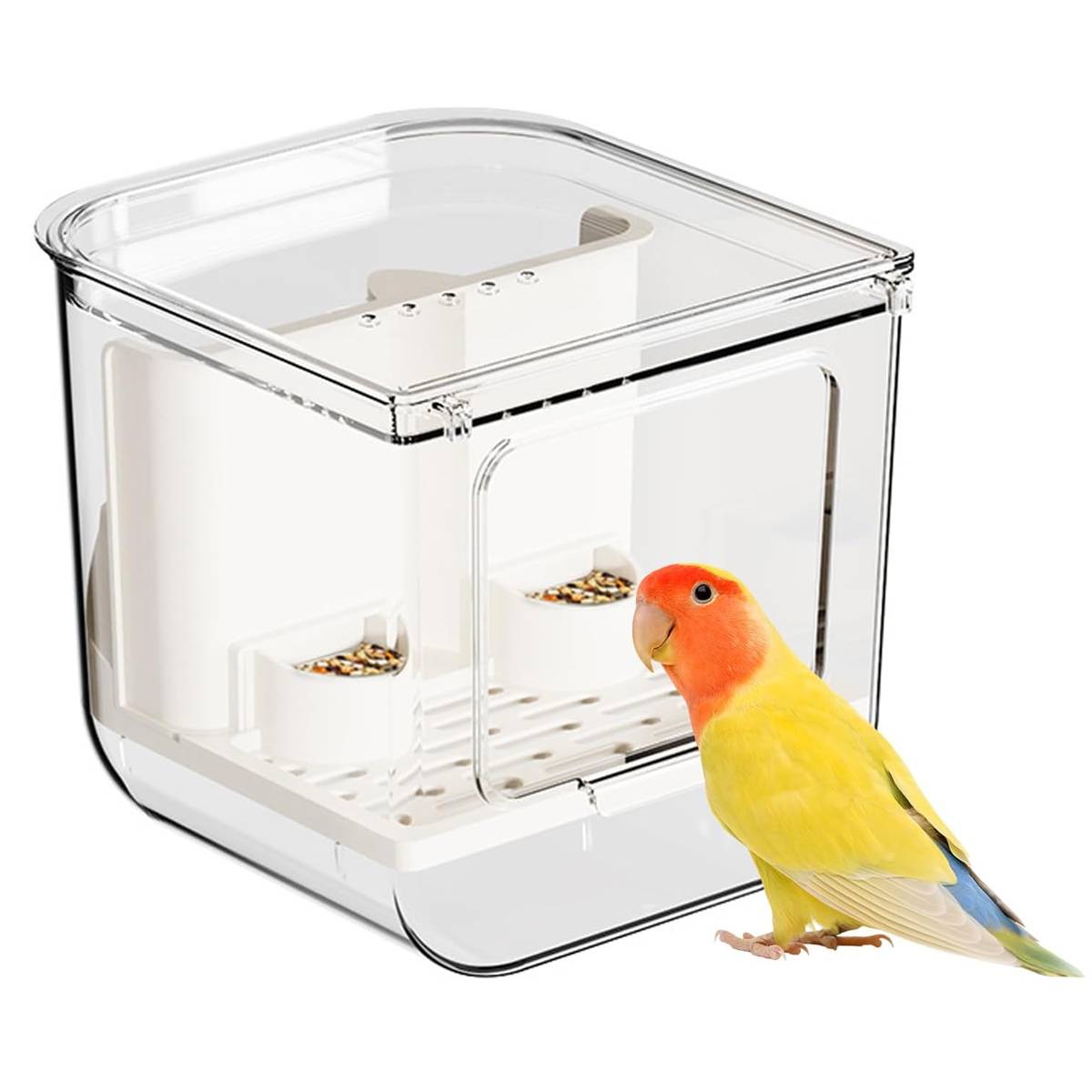 Automatic Bird Feeder Box
