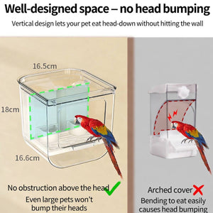 Automatic Bird Feeder Box