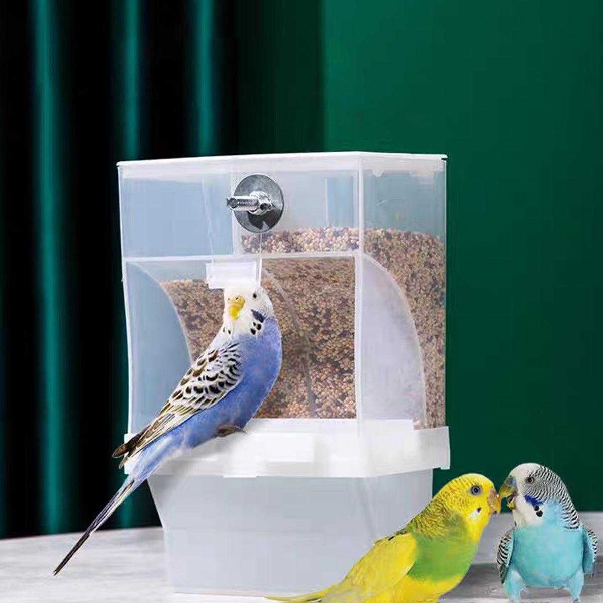 Automatic Bird Feeder with Double Grid and Easy-Clean Tray