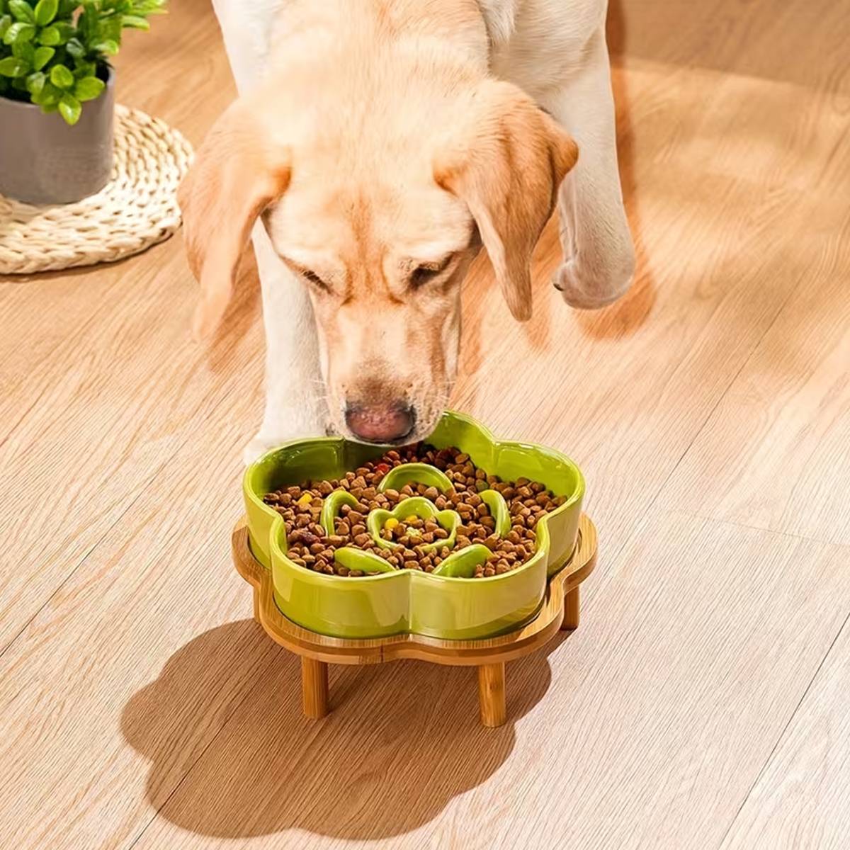Elevated Bamboo Pet Bowl Stand | Flower Shape Tray, Raised Cat & Dog Feeder