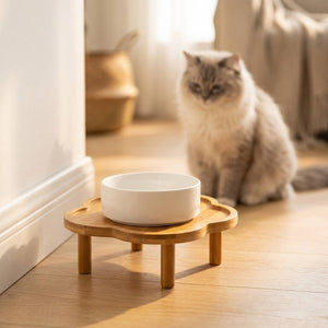 Elevated Bamboo Pet Bowl Stand | Flower Shape Tray, Raised Cat & Dog Feeder