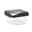 Clear Reptile Feeder Box With Locking Lid & Thermometer Slot