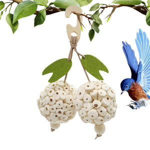 Natural Chewing Ball Bird Toy