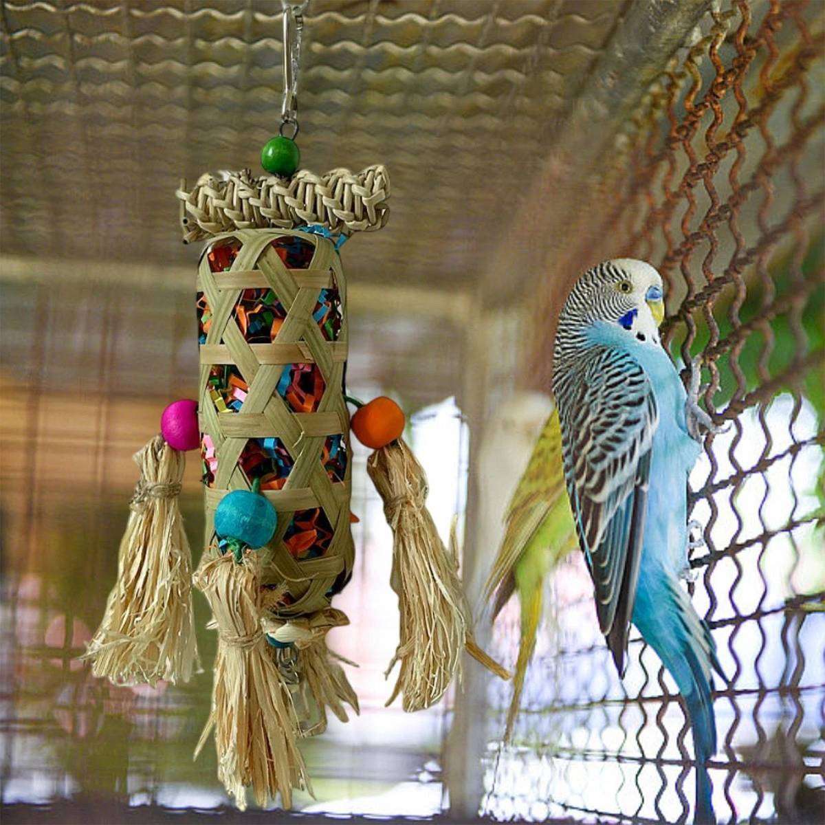 Natural Foraging Bird Chew Toy | Hanging Cage Accessory for Parrots