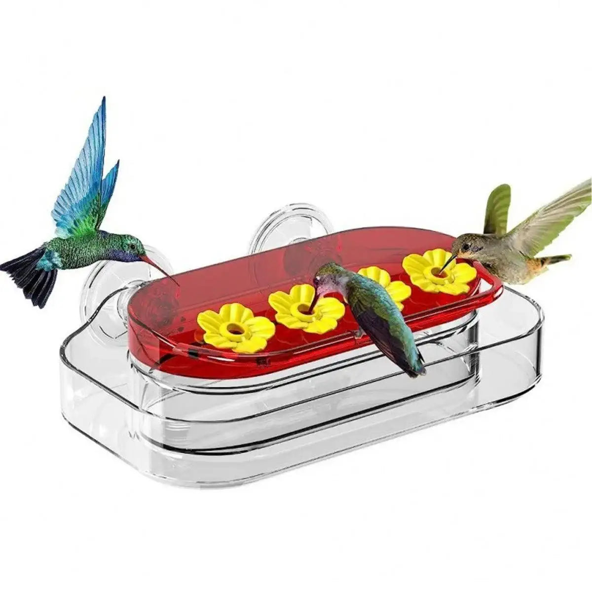 Window Hummingbird Feeder 10oz Capacity with Suction Cup and Ant Moat