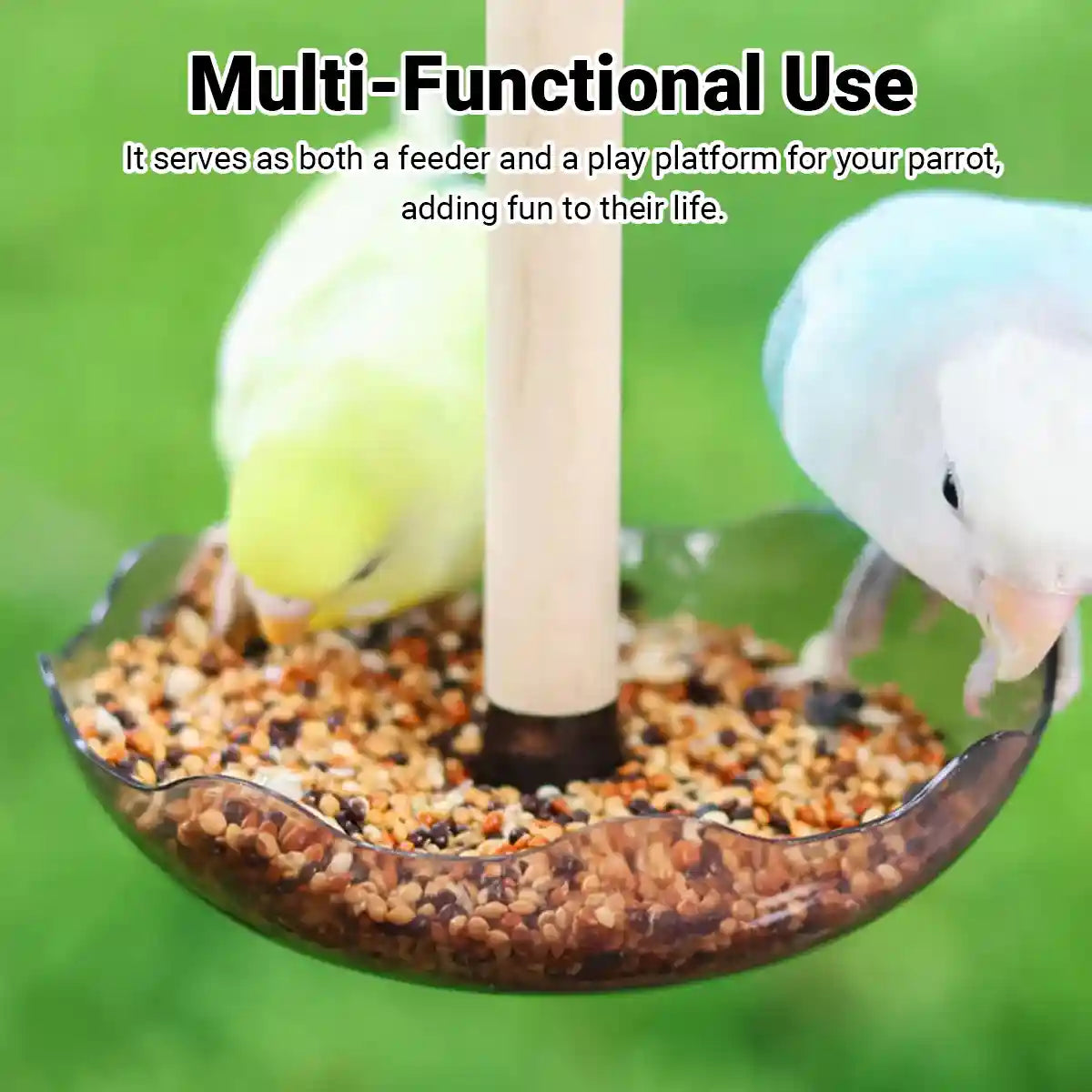 Transparent Bird Feeding Bowl with Perch for Parrots and Lovebirds