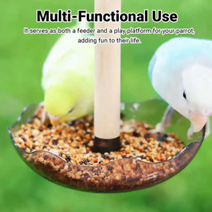 Transparent Bird Feeding Bowl with Perch for Parrots and Lovebirds
