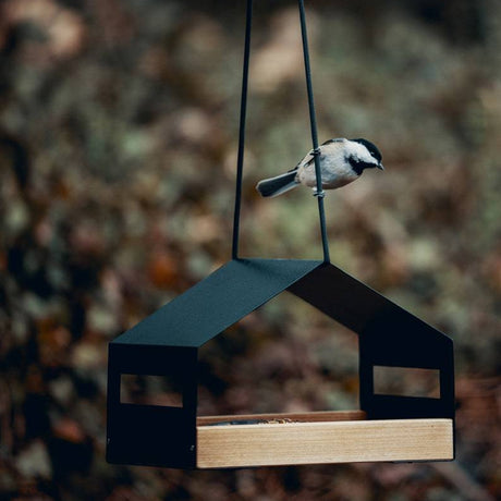 Hanging wooden garden bird feeder with rain cover – product view 9
