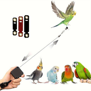Parrot Foot Leash - Retractable Bird Flight Training Set