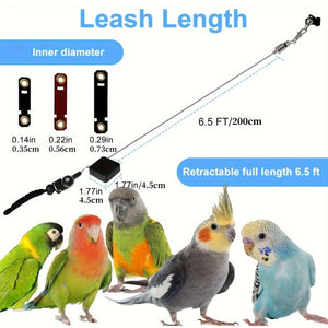 Parrot Foot Leash - Retractable Bird Flight Training Set