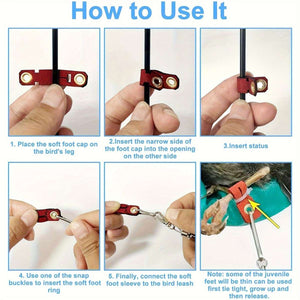 Parrot Foot Leash - Retractable Bird Flight Training Set