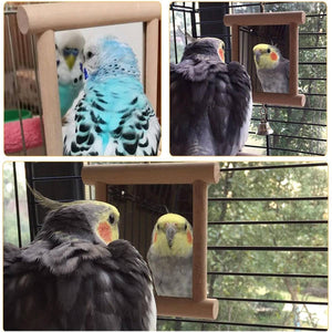 Wooden Bird Mirror Toy with Bell - Image 6