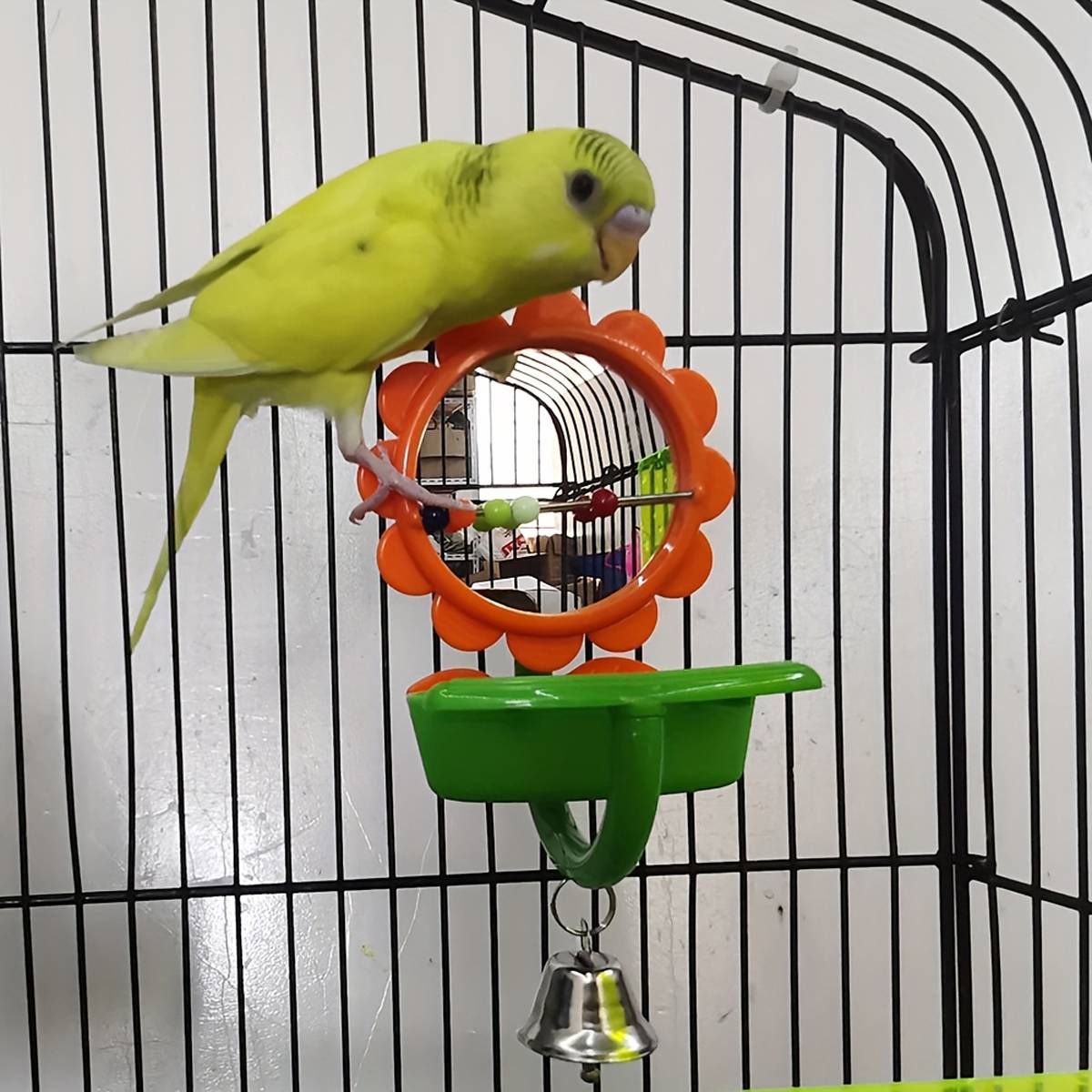 Bird Mirror Toy with Bell & Feeder Cup | Interactive Cage Accessory
