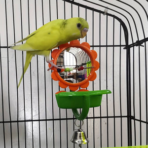 Bird Mirror Toy with Bell & Feeder Cup | Interactive Cage Accessory