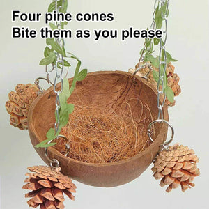 Coconut Bird's Nest for Parrots Natural Habitat with Swing & Hammock