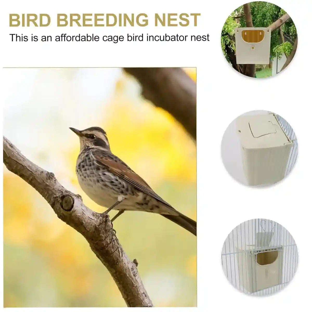 Bird Breeding Nest Box