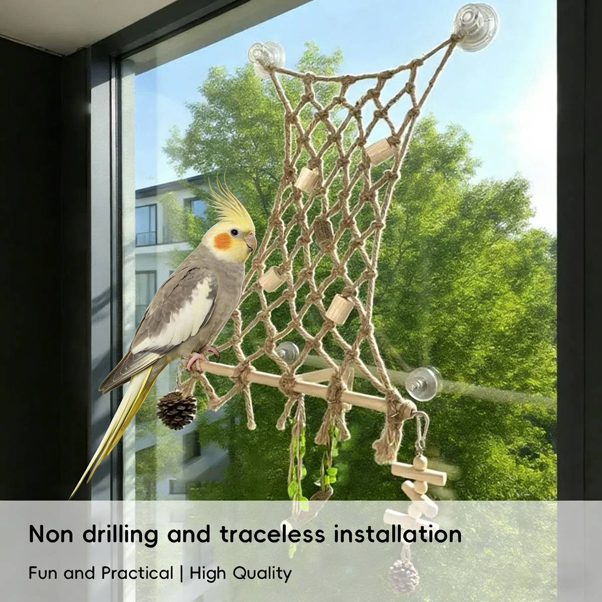 Bird Window Perch with Suction Cups | Sunny Seat Platform for Parrots