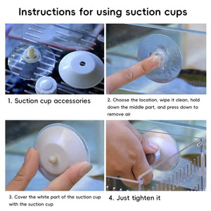 Bird Window Perch with Suction Cups | Sunny Seat Platform for Parrots