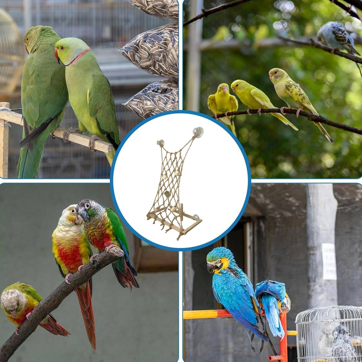 Bird Window Perch with Suction Cups | Sunny Seat Platform for Parrots