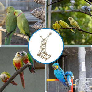 Bird Window Perch with Suction Cups | Sunny Seat Platform for Parrots