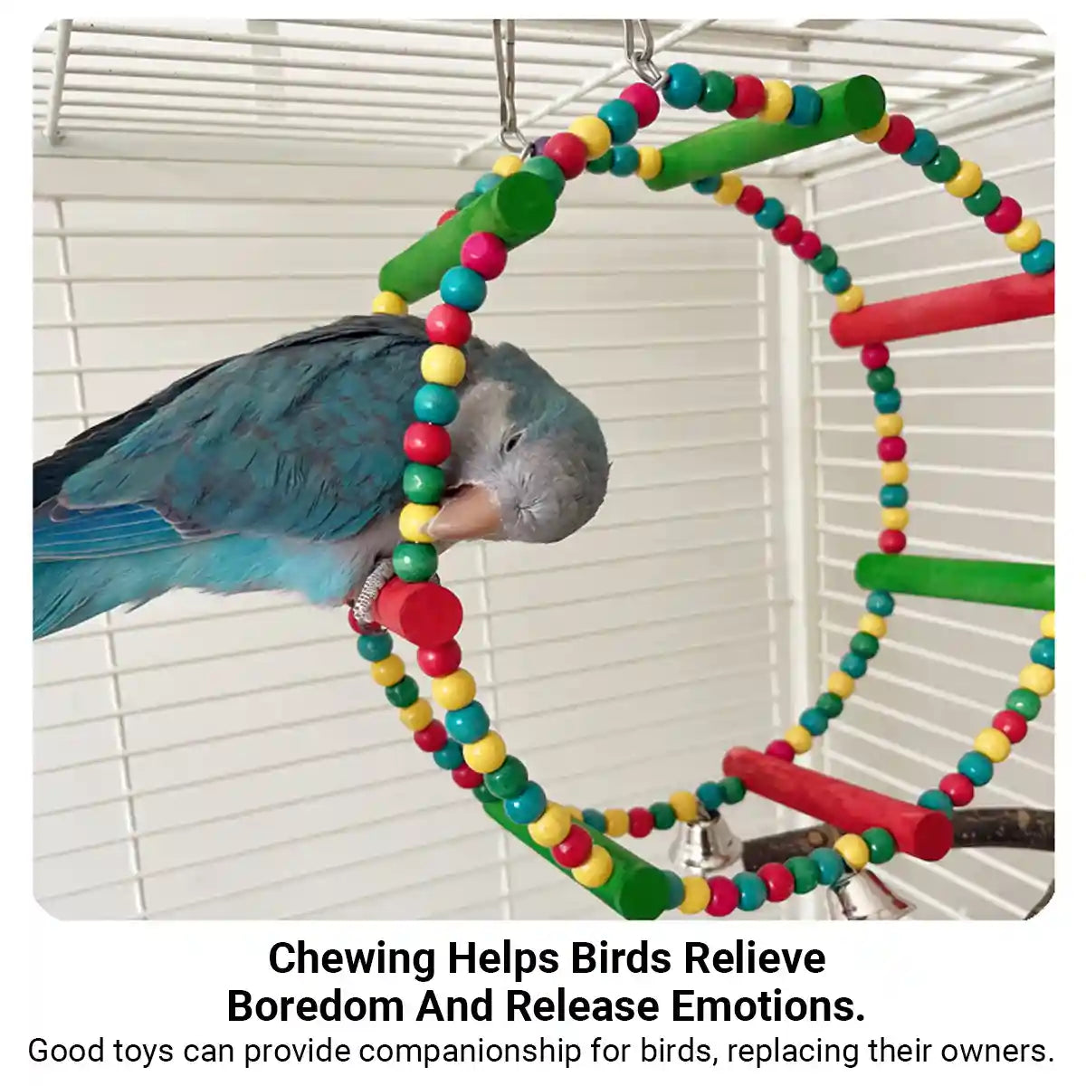 Colorful Wooden Bird Swing with Bells for Bird Cage