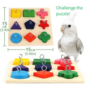 Parrot Training Toy Educational Clock Design with Wooden Blocks for Play