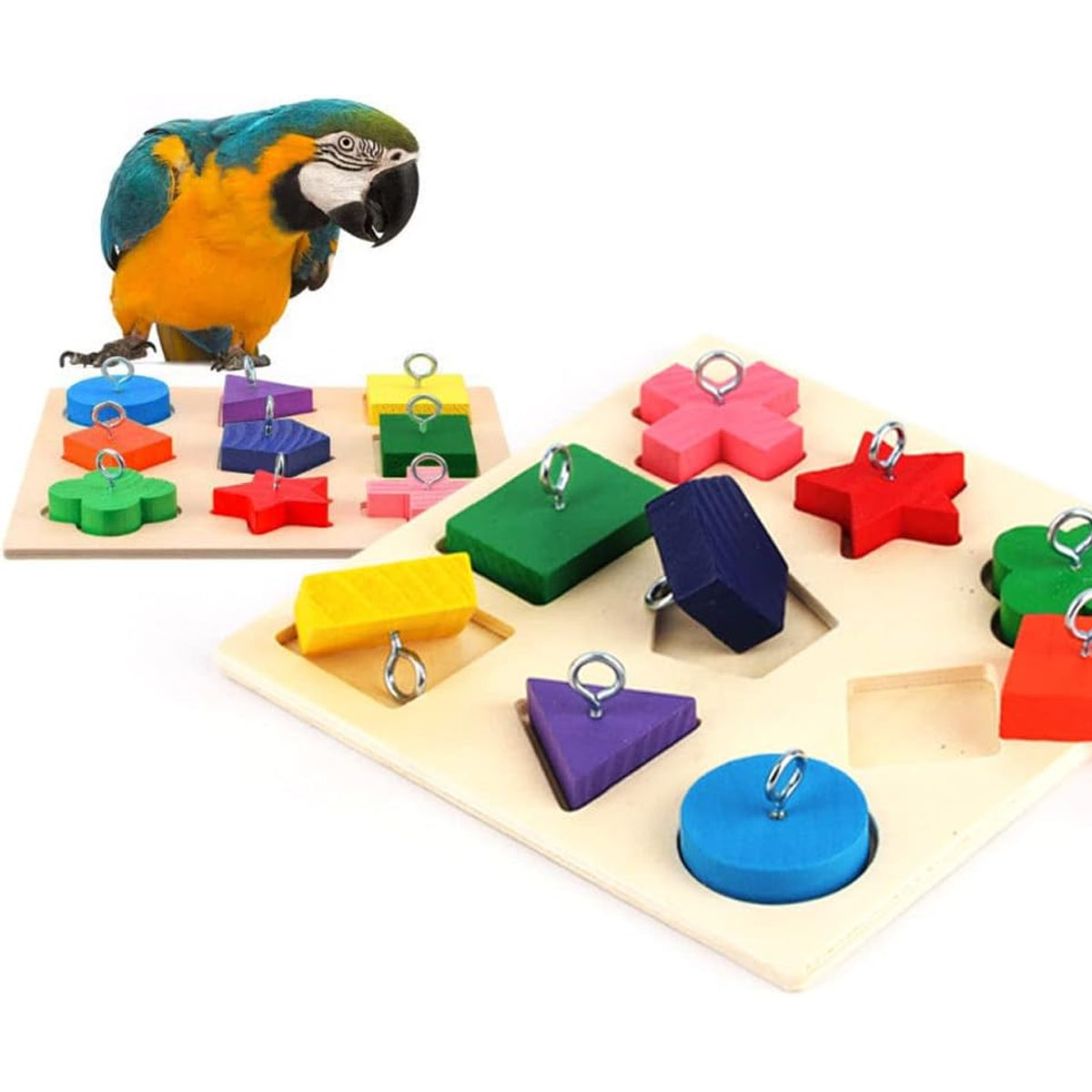 Parrot Training Toy Educational Clock Design with Wooden Blocks for Play