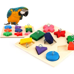Parrot Training Toy Educational Clock Design with Wooden Blocks for Play