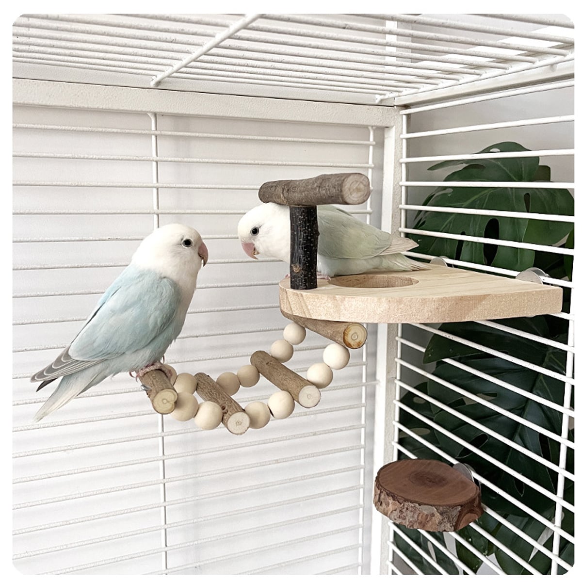 Wooden Parrot Perch Platform with Climbing Ladder for Bird Cages