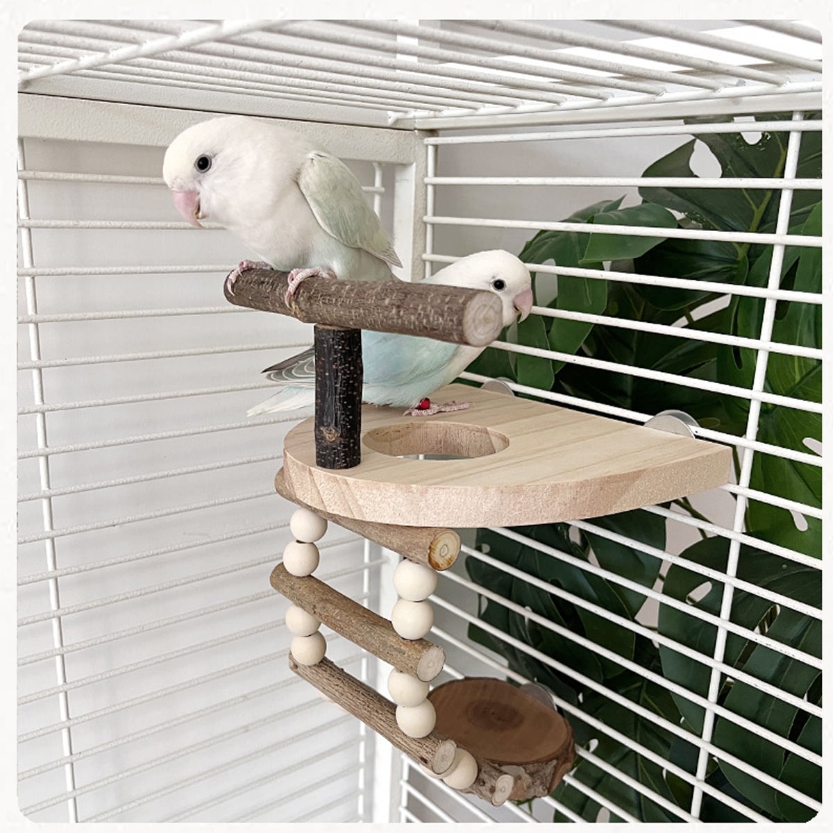 Wooden Parrot Perch Platform with Climbing Ladder for Bird Cages