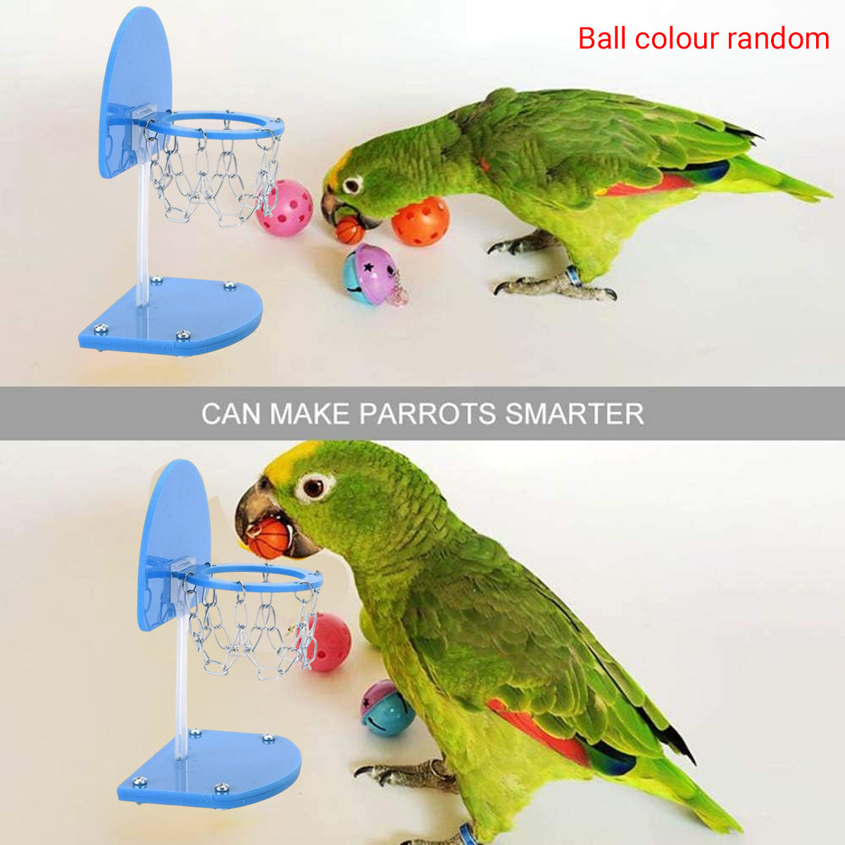 Parrot Interactive Training Toy Mini Basketball Hoop Game