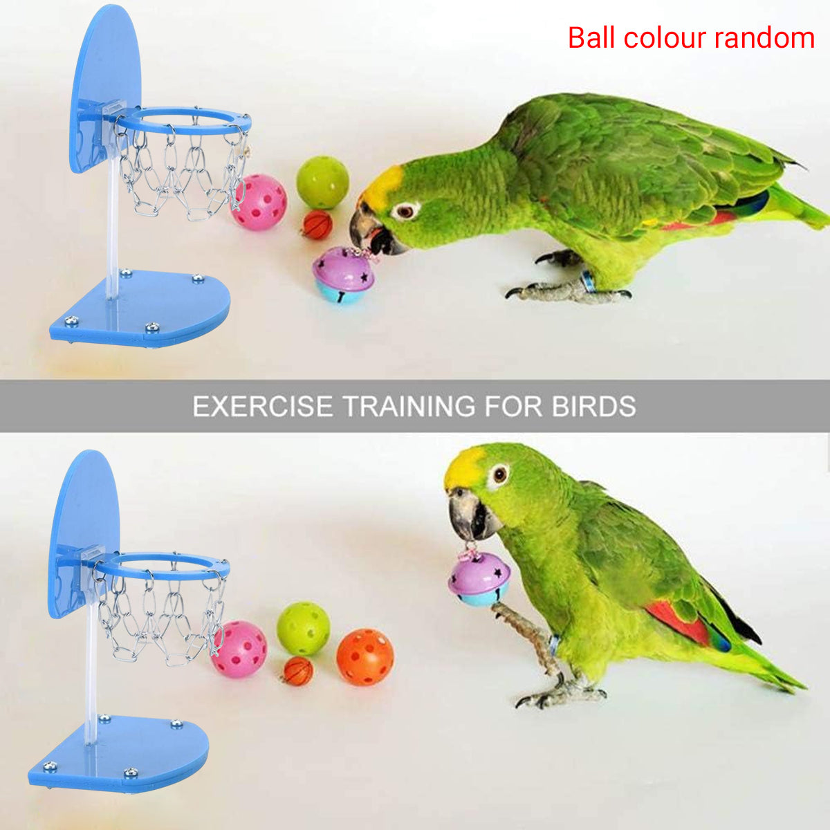 Parrot Interactive Training Toy Mini Basketball Hoop Game
